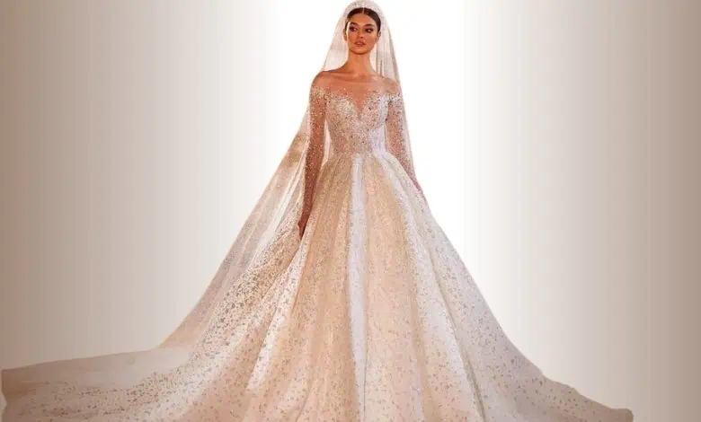 فساتين الزفاف الكرة (Ball Gown) فساتين الزفاف الكرة (Ball Gown)