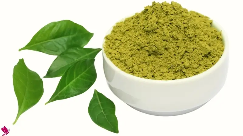 تعريف الحنة ومكوناتها الطبيعية تعريف الحنة ومكوناتها الطبيعية