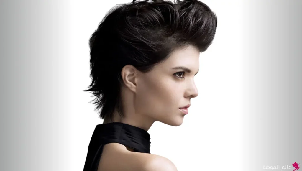 تسريحة البومبادور (Pompadour) تسريحة البومبادور (Pompadour)