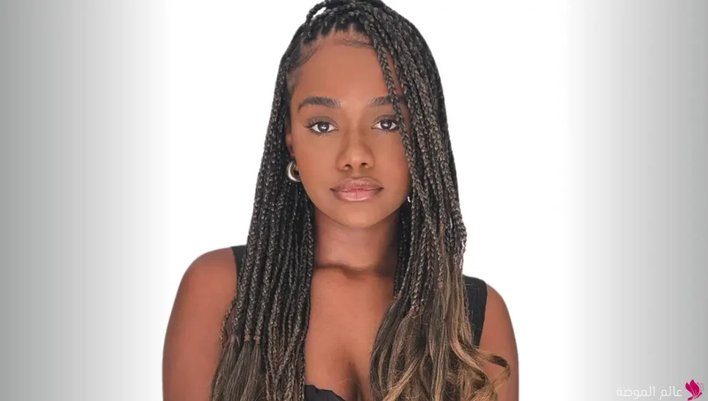 تسريحة الضفائر الصغيرة (Micro Braids) تسريحة الضفائر الصغيرة (Micro Braids)