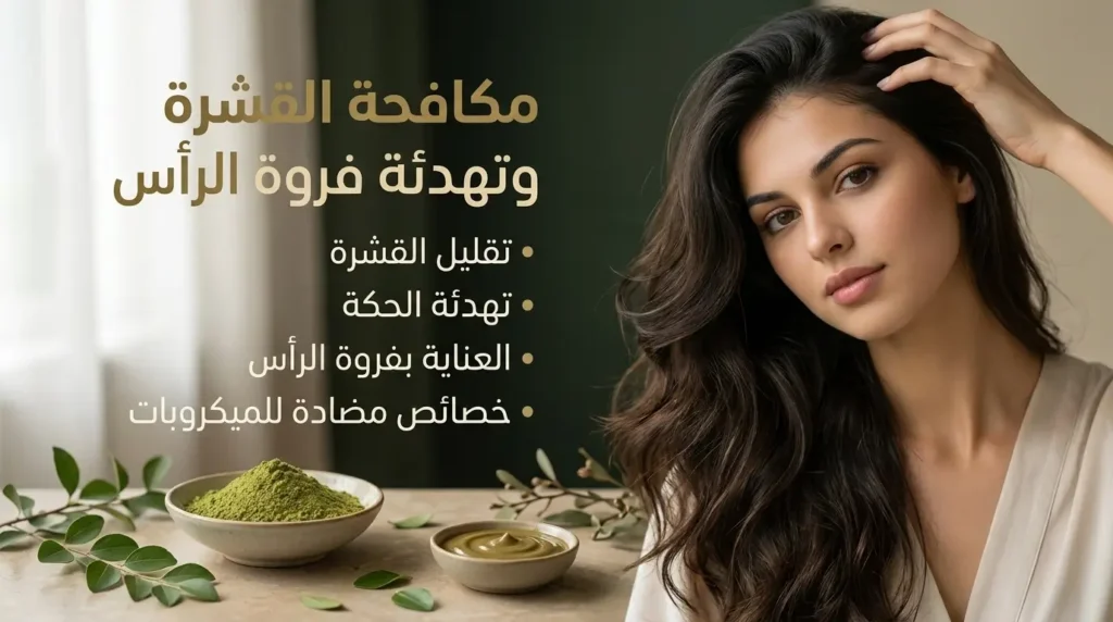 فوائد السدر للشعر ودوره في تقليل القشرة وتهدئة الفروة فوائد السدر للشعر للعناية بفروة الرأس وتقليل القشرة